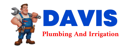 Trusted plumber in WILLIAMS